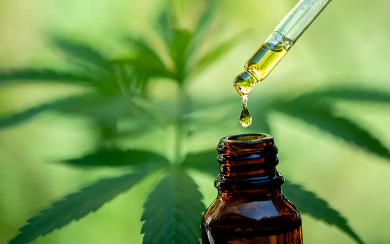 Le CBD, une alternative au cannabis